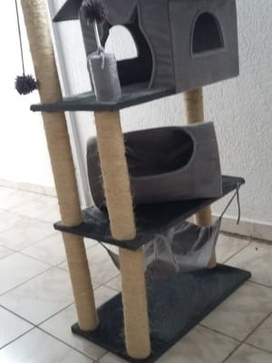Arranhador miami