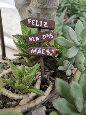 Plaquinha placa dia das mães em resina para terrário 2 peças