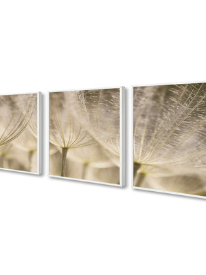 Quadro decorativo neutro planta dente de leão com moldura