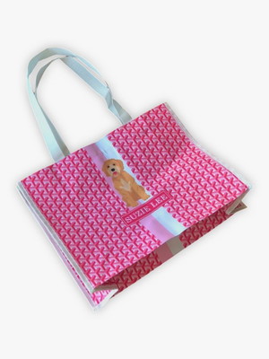 Bolsa viagem pet