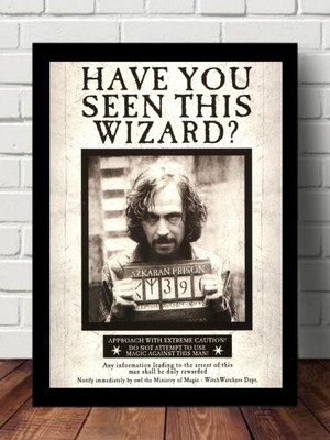 Quadro a5 - harry potter sirius black