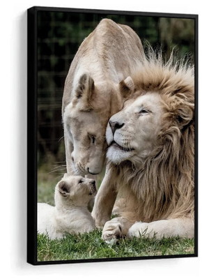 Quadro decorativo família de leão filhote mãe e pai 1 peça