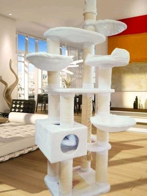 Arranhador para gato ternura