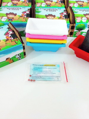 Lembrança caixote com cinta personalizada - fazendinha