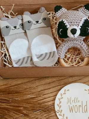 Presente para bebè guachinin baby