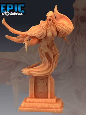 Miniatura castle of terror rpg d&d specter attacking graveyd