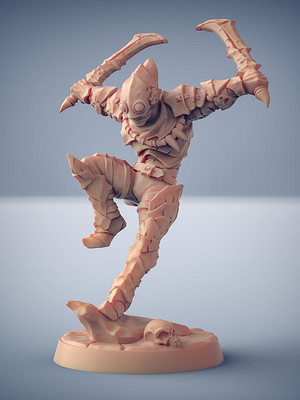 Miniatura scourgeland survivors rpg d&d - survivor d