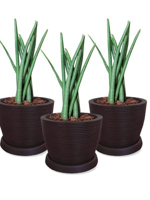 Kit 3 vasos de planta redondo 30x34 + pratos polietileno