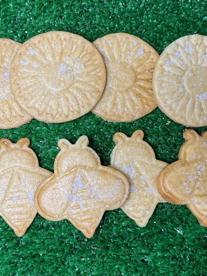 Biscoitos amanteigados mel e flor de sal