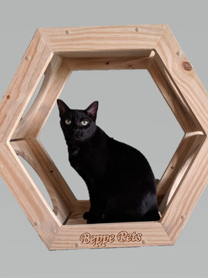Colméia sextavada para gatos