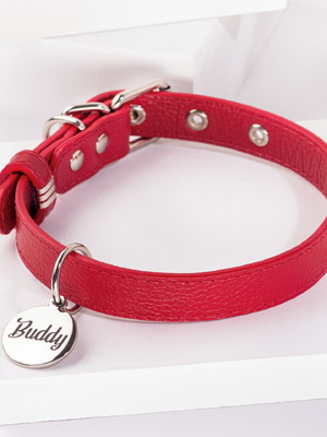 Coleira luxo vermelha com plaquinha pet com nome