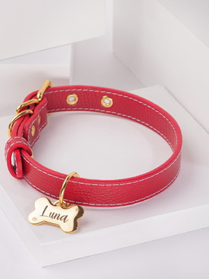 Coleira luxo premium com tag id com nome e telefone gravados