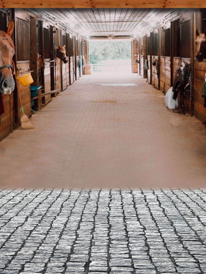 Painel em tecido sublimado 3d haras cavalos 6x3m