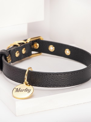 Coleira luxo premium com plaquinha de identificação com nome
