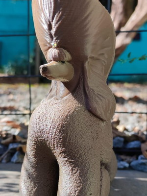 Estatua de poodle em resina