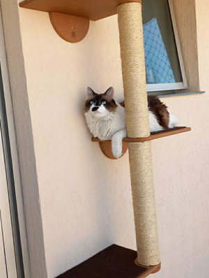 Arranhador para gatos - escalador poli 3