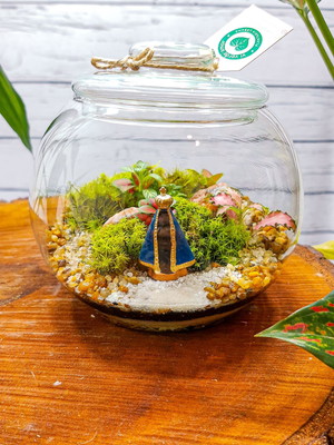 Terrário nossa senhora aparecida p428