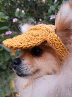 Boné/viseira de crochê para pet/cachorro/gato modelo ayrton