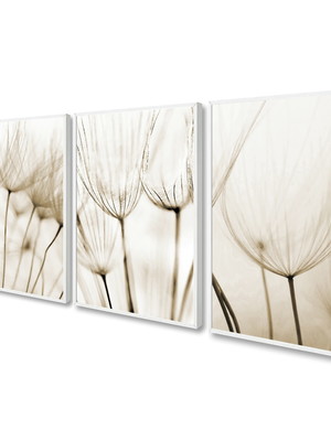 Quadro decorativo dente de leão tons neutros sala quarto