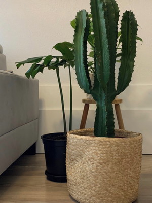 Cesto de palha artesanal (+-35cm)