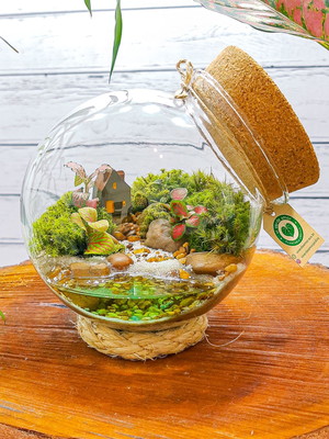 Terrário médio p431