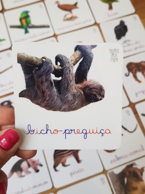 Kit 24 flashcards montessori animais mata atlântica f/v