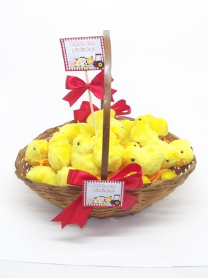 Cesta com pintinhos com 20