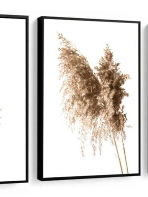 Kit 3 quadros capim dos pampas folhas de trigo folhas secas