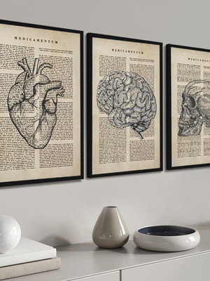 3 quadros decoração anatomia medicina novo moldura