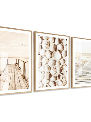 Quadro decorativo boho paisagem conchas do mar com vidro