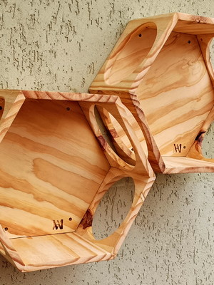 Kit nicho hexagonal com fundo para gatos