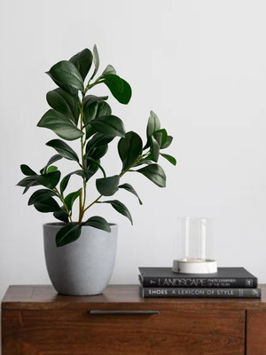 2 plantas verdes premium em silicone de qualidade para casa