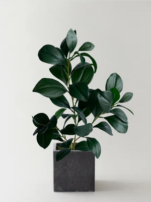 6x folhagem premium planta artificial de qualidade para vaso