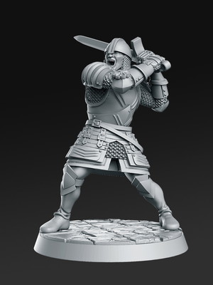 Miniatura the royal guard rpg d&d rodrick
