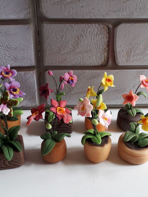 Miniaturas- vasos de orquídeas