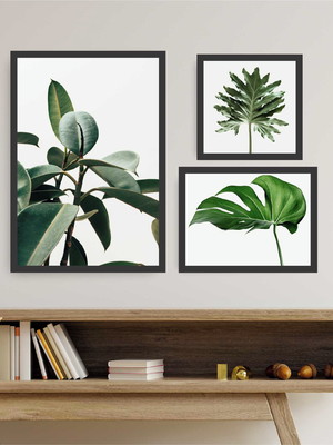 Quadro tela canvas composição ficus com moldura
