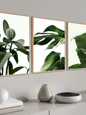 Kit 3 quadros folhagem costela adão folhas verdes molduras