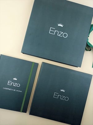 Livro do bebê e caderneta de vacina personalizado