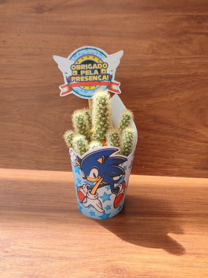 Rótulo + tag para mini suculenta sonic