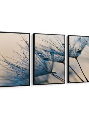Quadro com vidro dente de leão