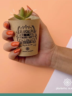 Lembrancinhas de suculentas - mini plantinhas personalizadas