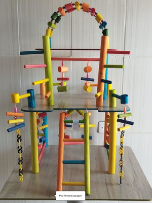 Play fantasia papagaio
