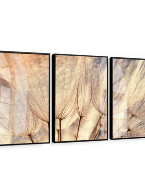 Quadro decorativo folhagem trio dente de leão com vidro
