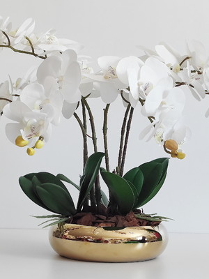Arranjo de orquídeas 6 hastes em silicone com o vaso