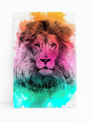 Leão animais arte aquarela colorido quadro canvas 60x40cm