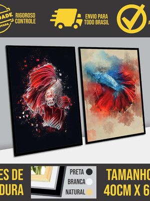 Composição de quadros peixes betta