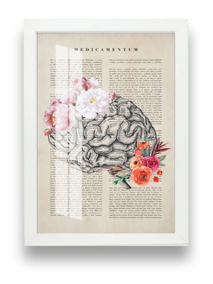 1 quadro psicologia psicólogos mente cérebro molduras