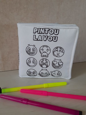 Livro pintou lavou - emoções