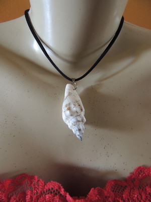 Colar com caracol do mar natural