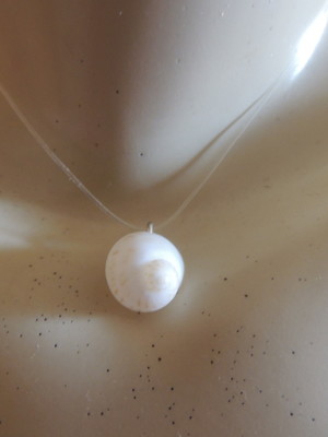 Colar invisível com caracol do mar natural